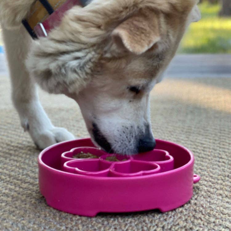 Flower Design eBowl Enrichment Slow Feeder Bowl for Dogs: Flower Bowl - Purple