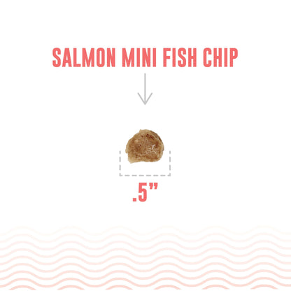 Icelandic+ Salmon Mini Fish Chips Dog Treats: 2.5-oz