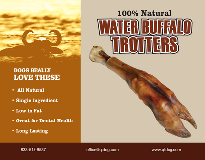 Water Buffalo Trotters