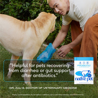 Probiotic & Prebiotic Powder Vet-Formulated Supplement: 4.1 oz