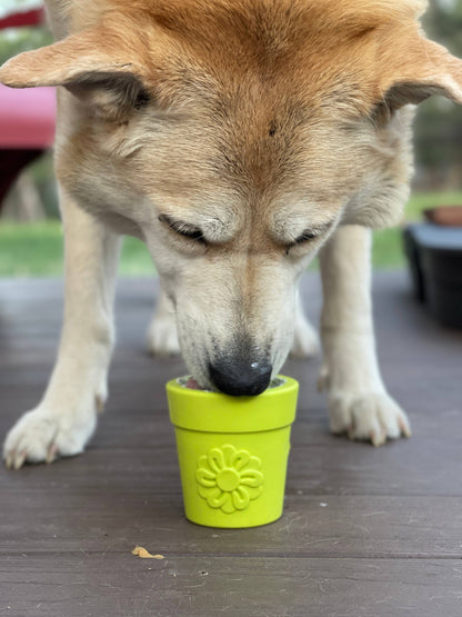 Flower Pot Durable Rubber Treat Dispenser & Enrichment: Blue