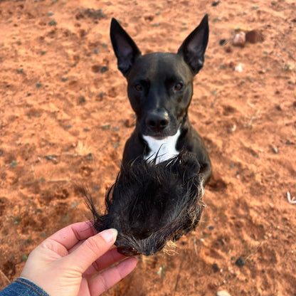 Air-dried Boar Ear