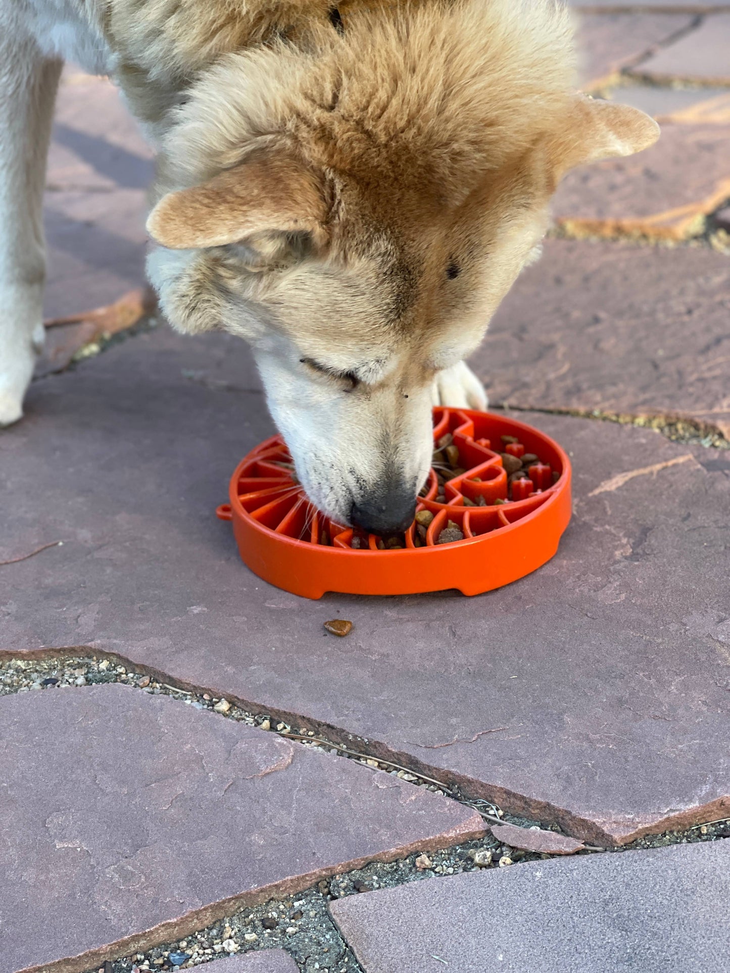 Yin Yang Design Shallow eTray Enrichment Slow Feeder Tray for Dogs: Orange