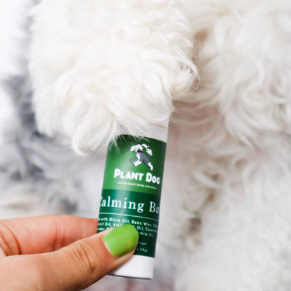 Calming Paw Balm