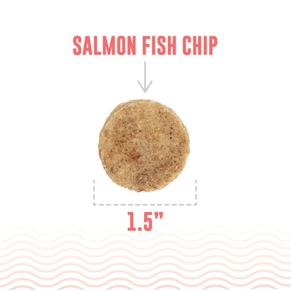 Icelandic+ Salmon Fish Chips Dog Treats