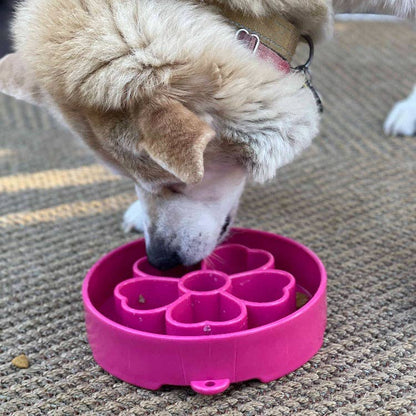 Flower Design eBowl Enrichment Slow Feeder Bowl for Dogs: Flower Bowl - Purple