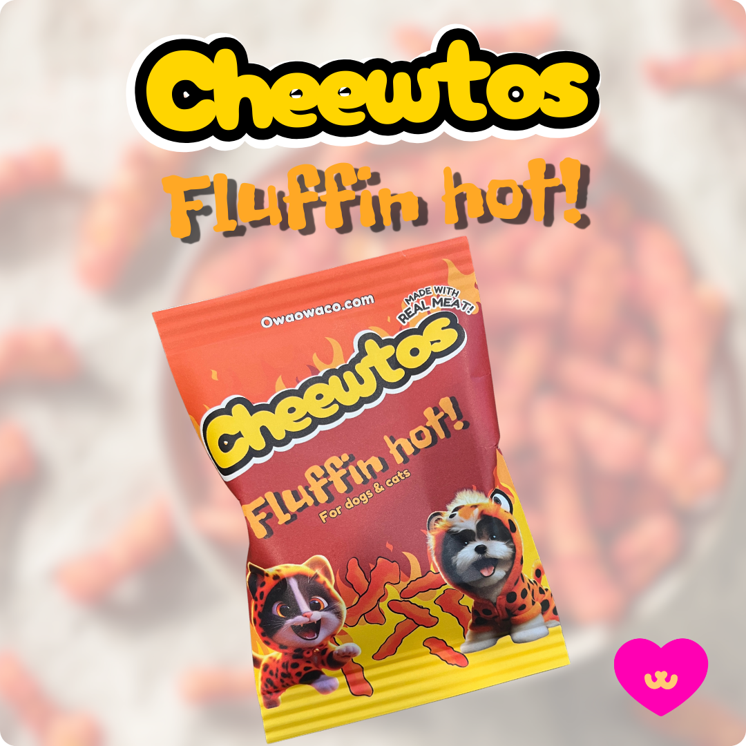 Fluffin hot cheewtos!- Hot Cheetos for dogs & cats