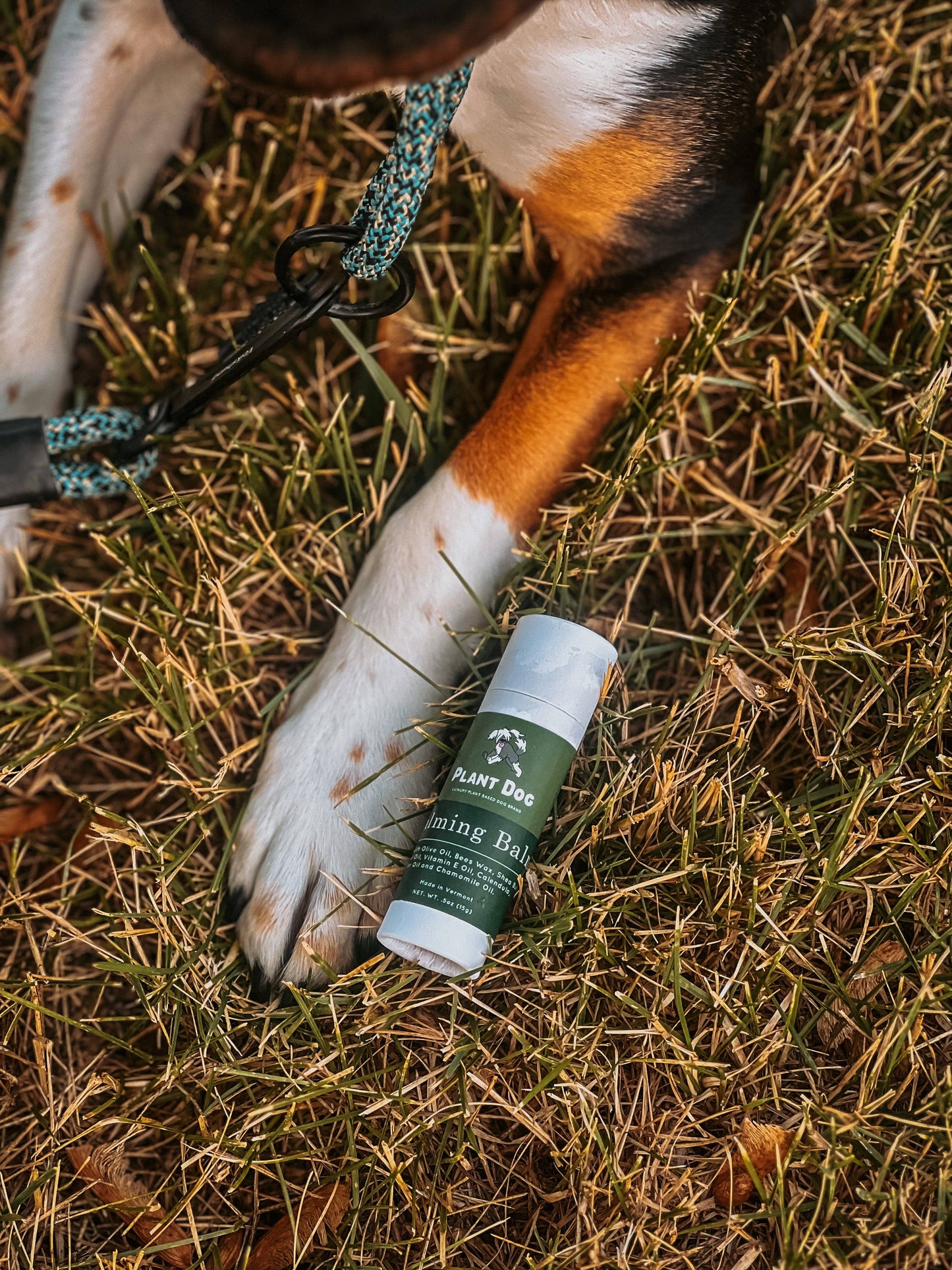 Calming Paw Balm