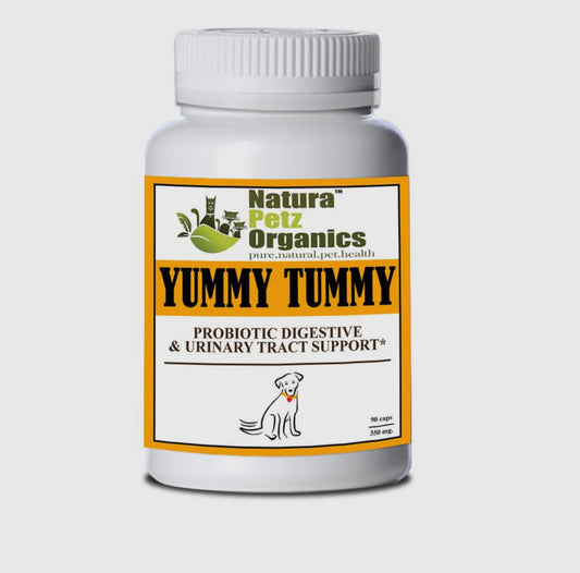 Yummy Tummy Probiotic Digestive, Bladder & Urinary Tract Support*