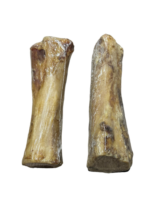 Water Buffalo Femur Bones