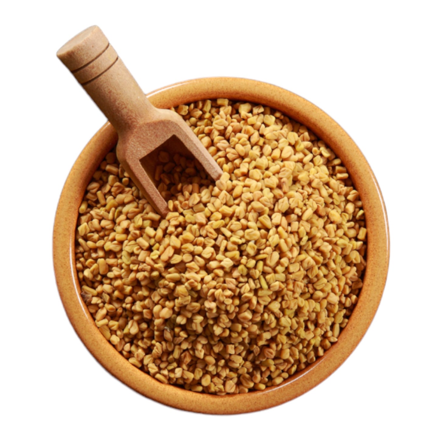 Fenugreek Seed