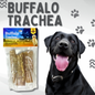 Buffalo Trachea 6" - 3 Pack