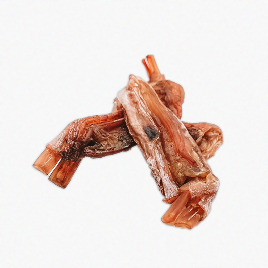 Dehydrated Bison Tendons: 5-6oz (around 3 tendons)