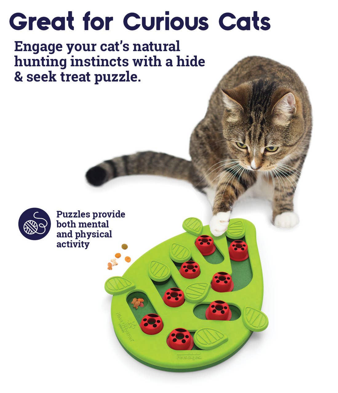 Catstages Puzzle & Play Buggin Out Cat Game Toy