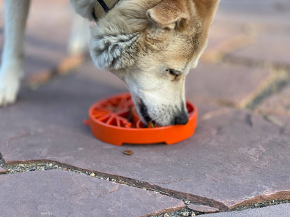 Yin Yang Design Shallow eTray Enrichment Slow Feeder Tray for Dogs: Orange