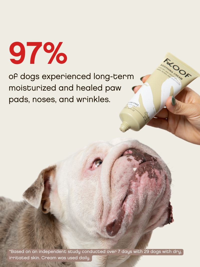 Soothing Cream For Dry Paws & Noses