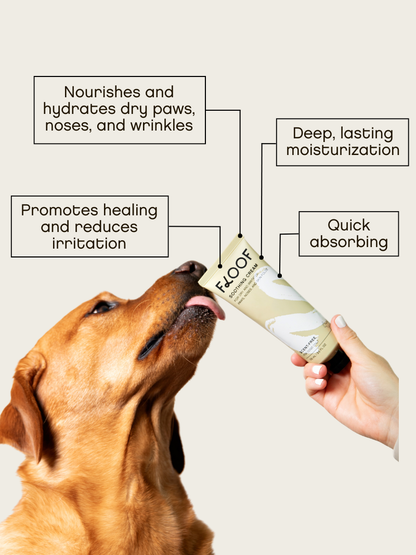 Soothing Cream For Dry Paws & Noses