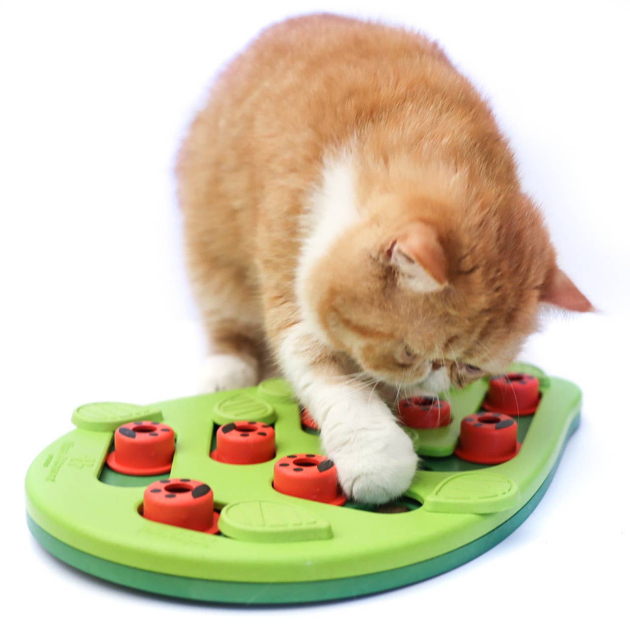 Catstages Puzzle & Play Buggin Out Cat Game Toy