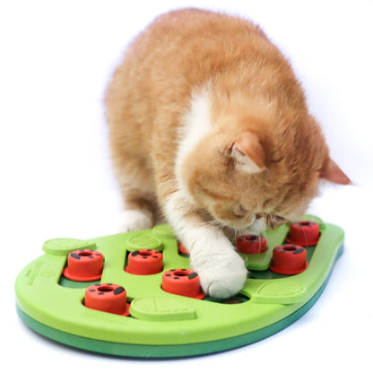 Catstages Puzzle & Play Buggin Out Cat Game Toy