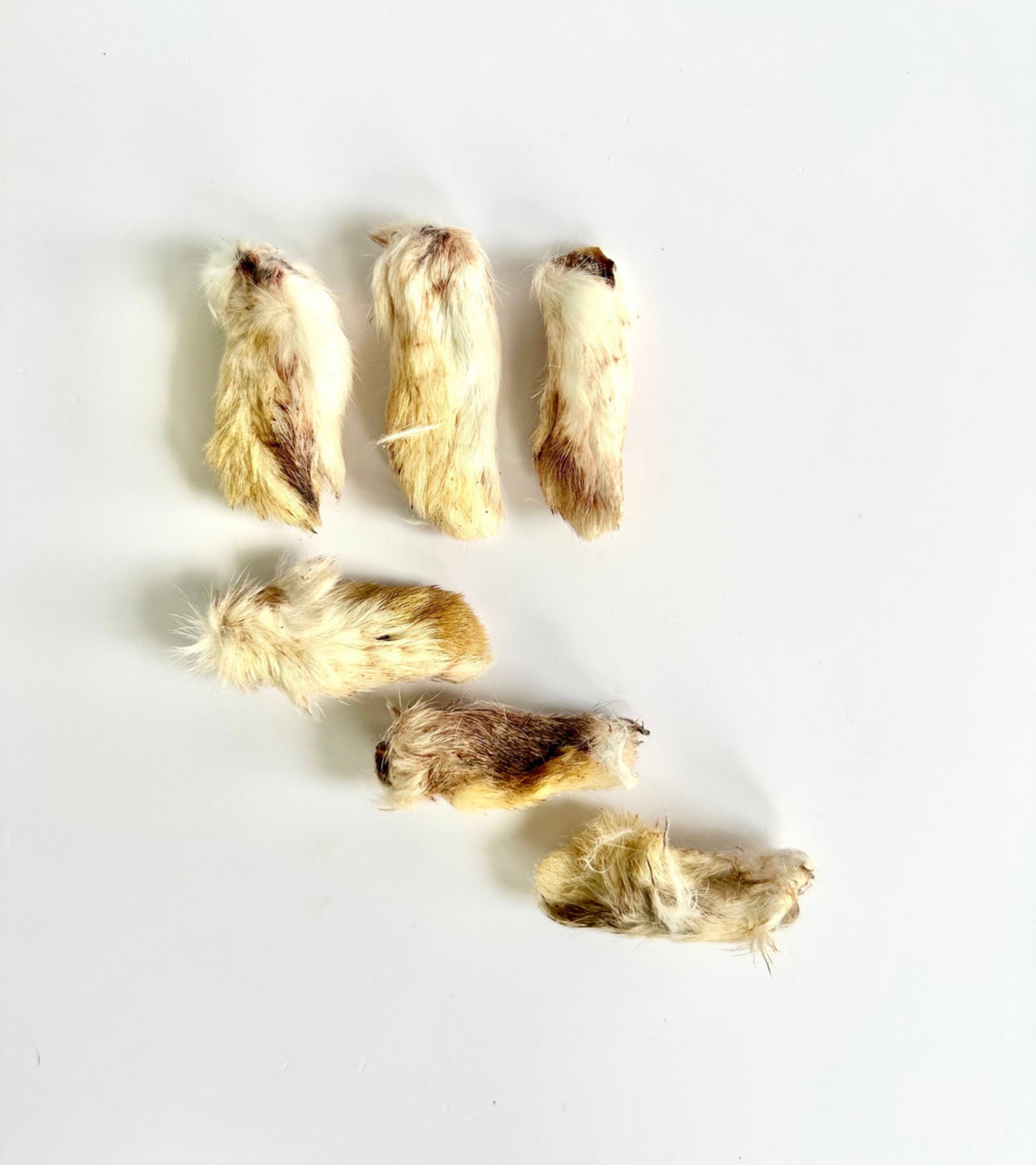 Dehydrated Rabbit Feet