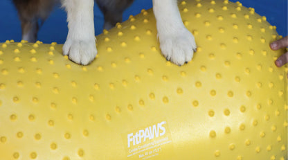 FitPAWS Trax Peanut