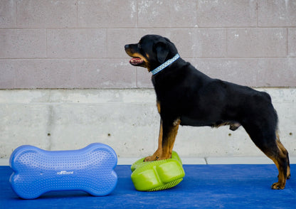 Caninegym K9FITbone Balance Training Platform - Original