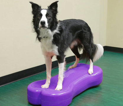 K9FITbone Dog Balance Training Platform - Giant