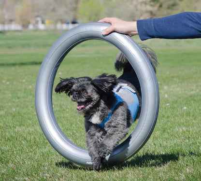 FitPAWS Circular Product Holder