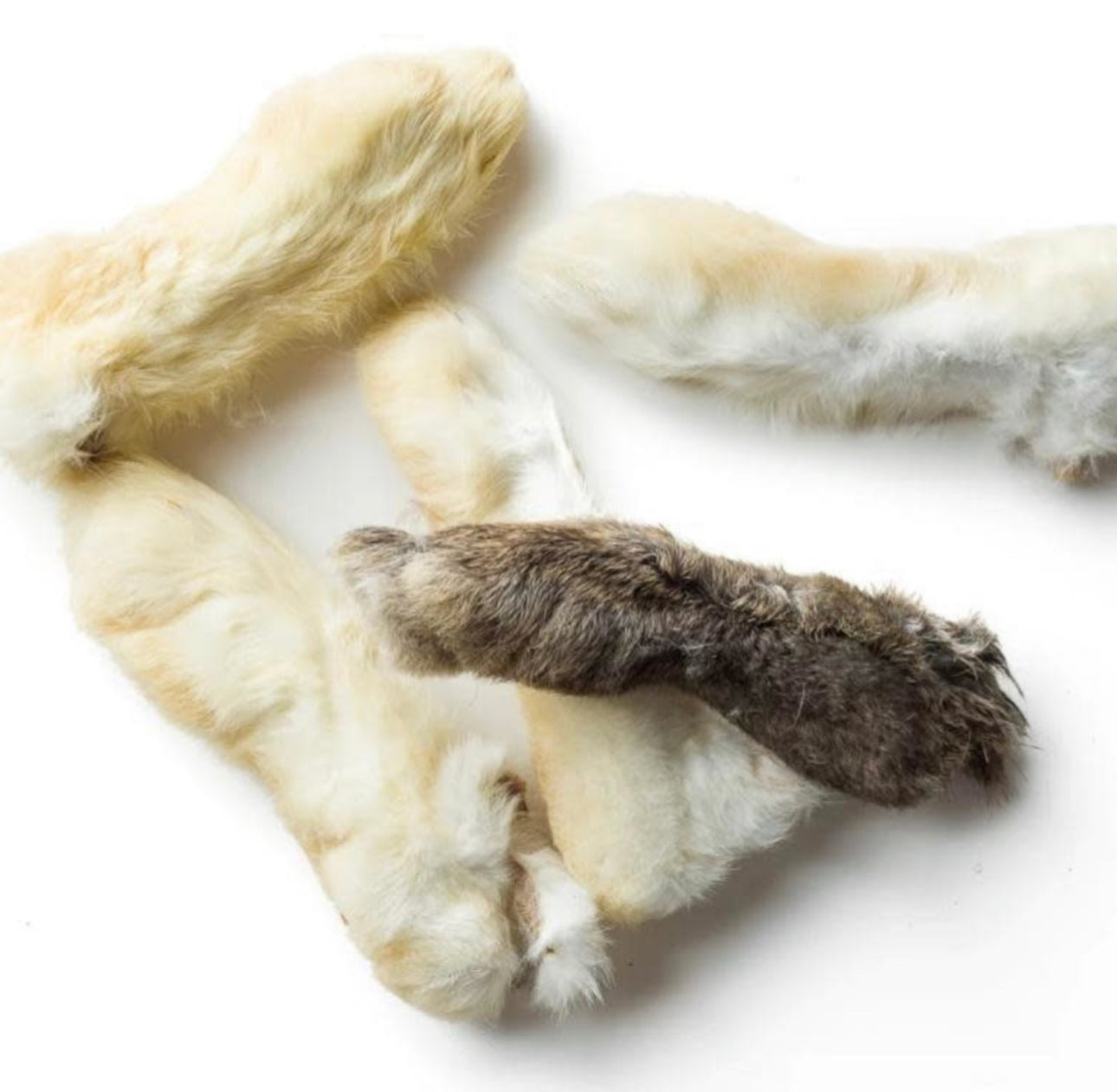 Dehydrated Rabbit Feet